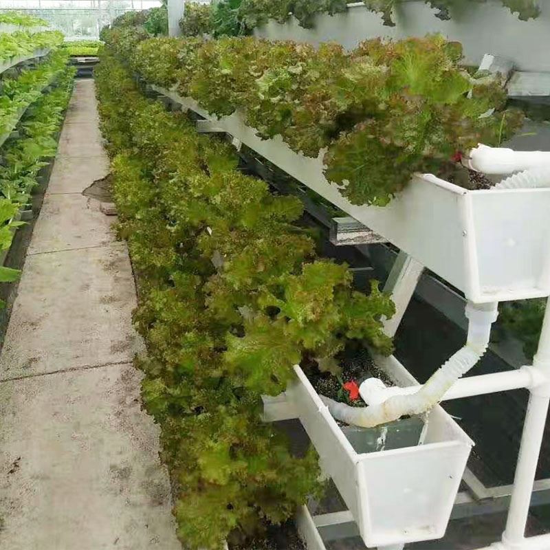 planting gutter.jpg planting gutter.jpg