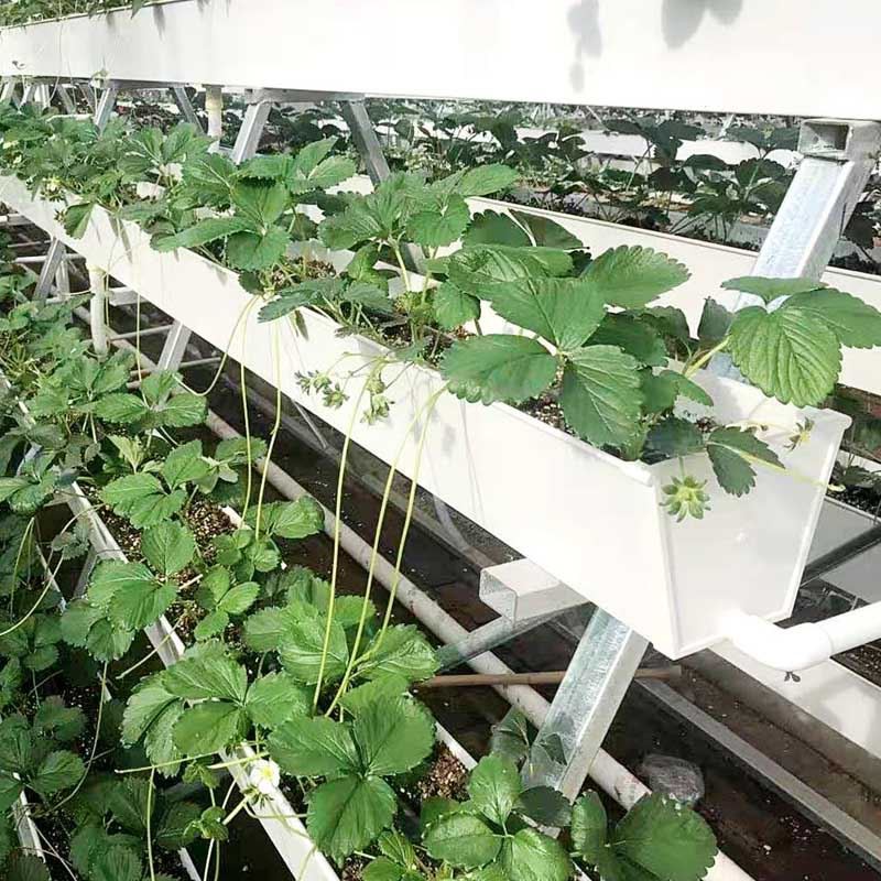 PVC planting gutter.jpg PVC planting gutter.jpg