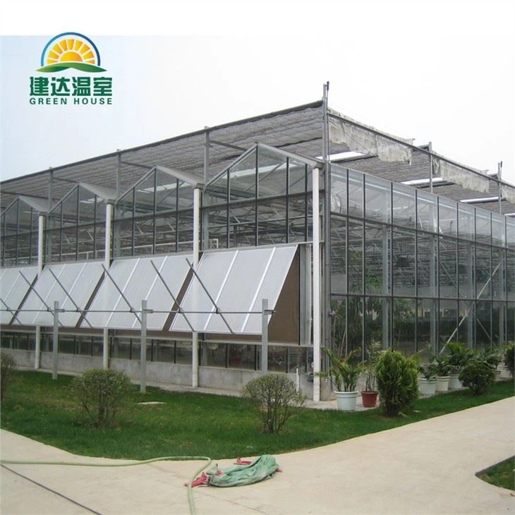 Hydroponic Indoor Farming Greenhouse