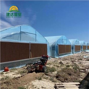 دفيئة القنب التعتيم