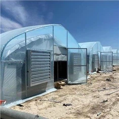 فيلم Greenhouse لسوق الولايات المتحدة الأمريكية لزراعة Herms