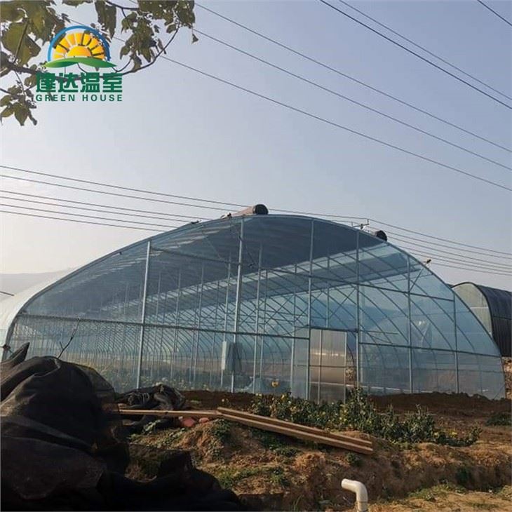 Tunnel Greenhouses