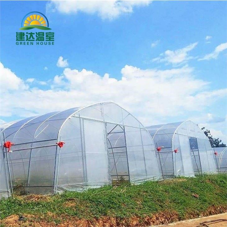 Tunnel Greenhouses