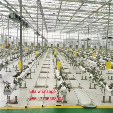 دفيئة الطماطم PVC مزرز مزراب لنظام المائية