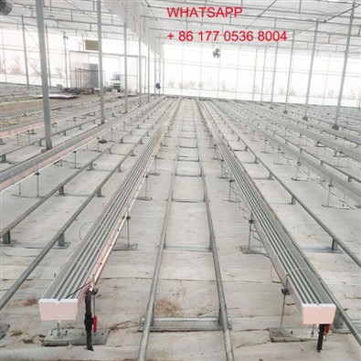 فيلم Grothic Film Greenhouse لأرمينيا