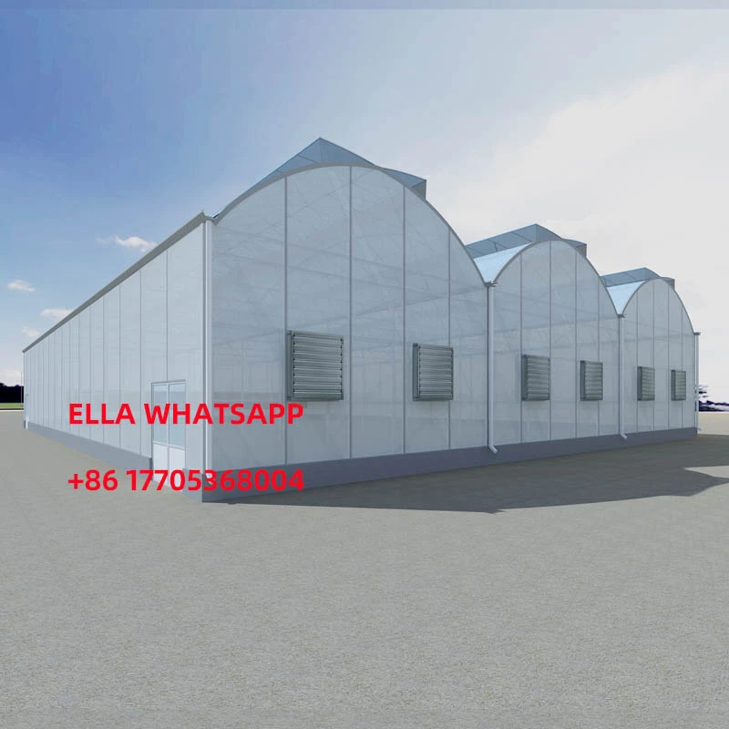 film greenhouse film greenhouse