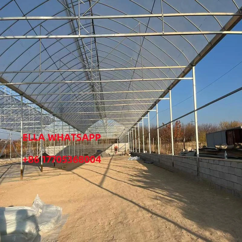 china greenhouse china greenhouse