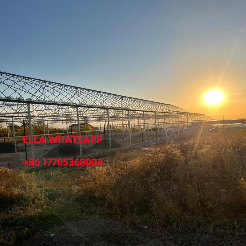 greenhouse structure greenhouse structure